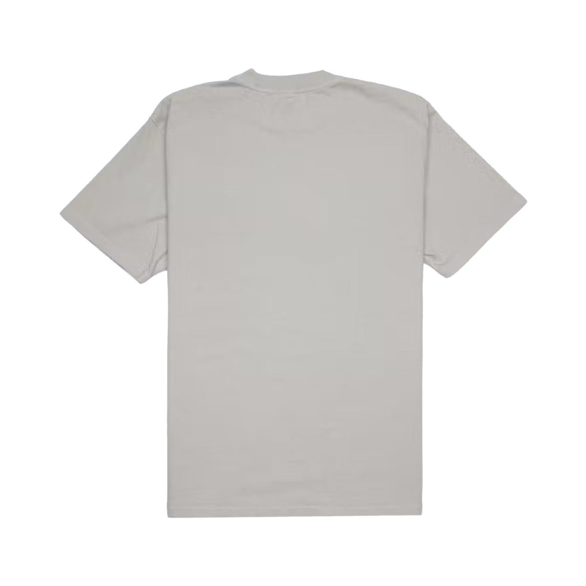 Spider Arach NY Phobie Graues T-Shirt