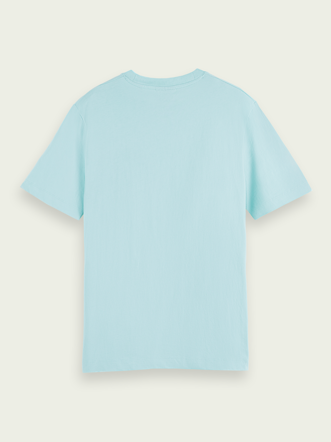 Scotch & Soda Grafik-T-Shirt in Meerschaumgrün (165926)